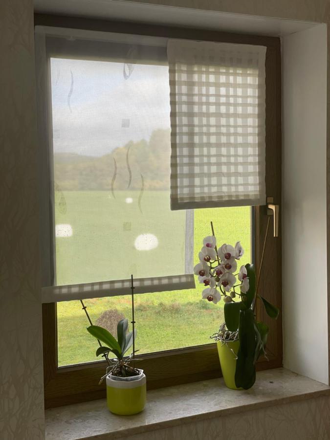 Ferienwohnung Fam.Werner Wasungen Exterior foto